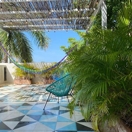 Studios Downtown Cancún Exteriör bild