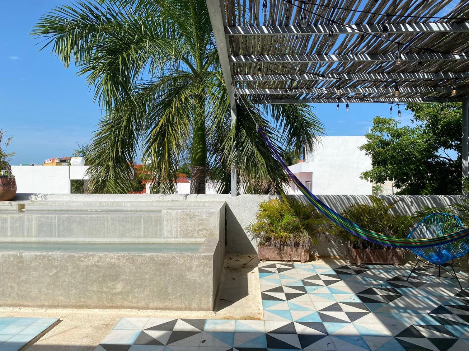 Studios Downtown Cancún Exteriör bild