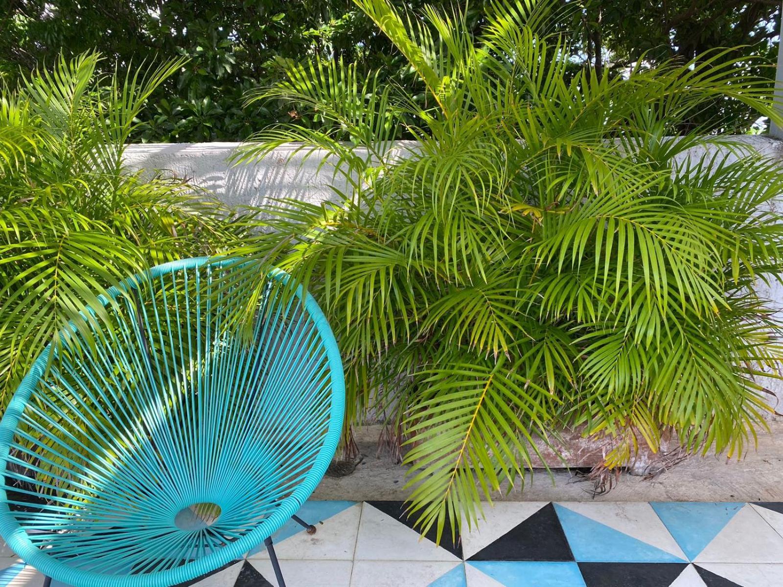 Studios Downtown Cancún Exteriör bild