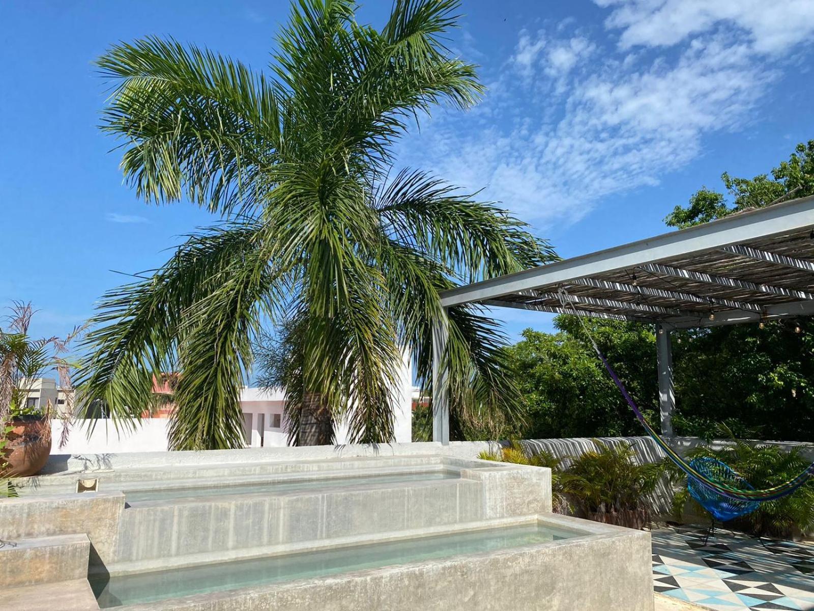 Studios Downtown Cancún Exteriör bild