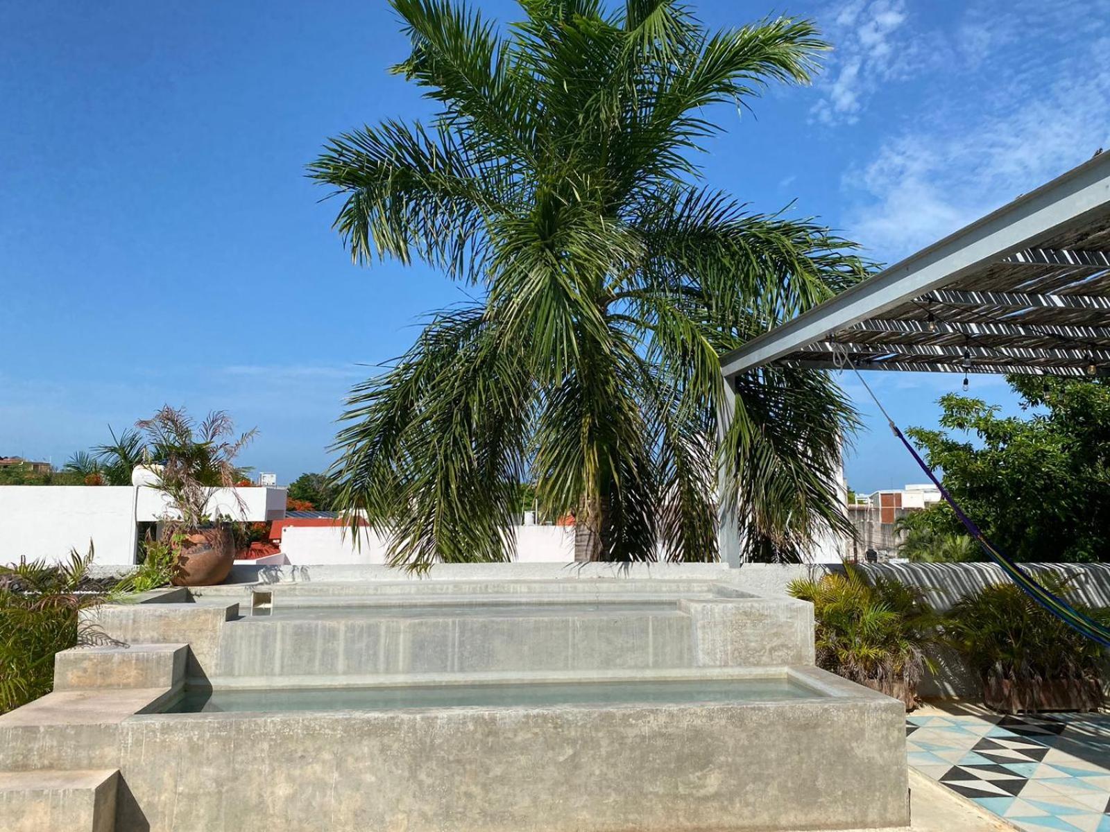 Studios Downtown Cancún Exteriör bild
